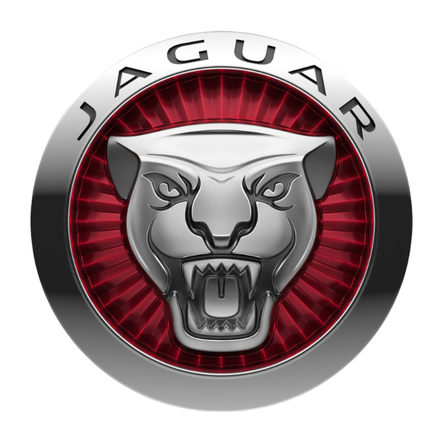 Jaguar Wheel Centre Caps